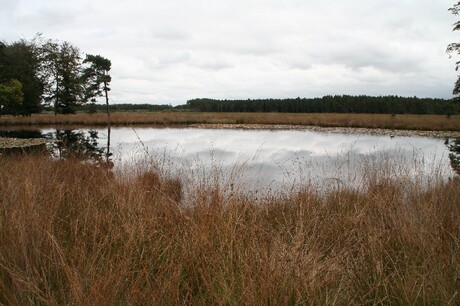 Drents landschap