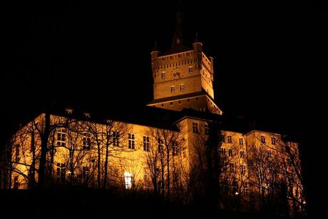 burg Schwanenburg