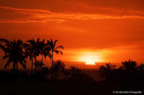 Sunset Hawaii