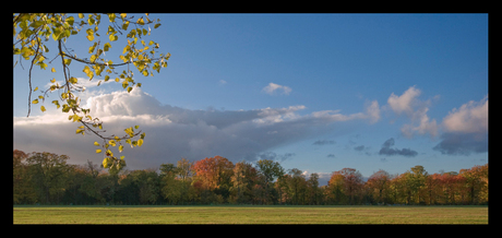 field view