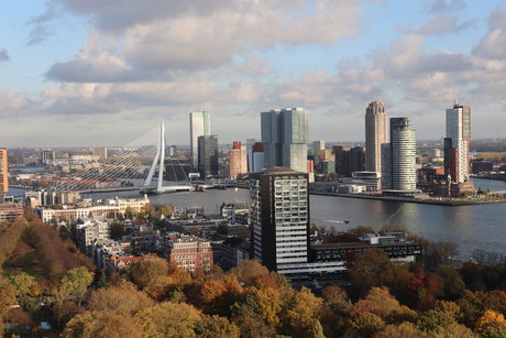 Uitstapje Rotterdam