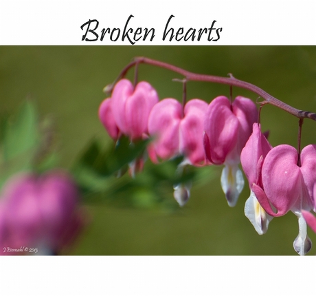 Broken Hearts