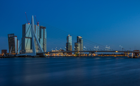 Erasmusbrug in the blue hour