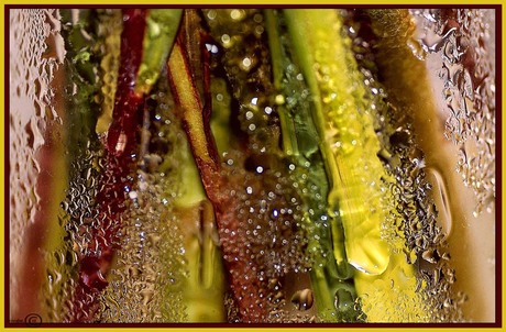 neem vaker een bloemetje mee