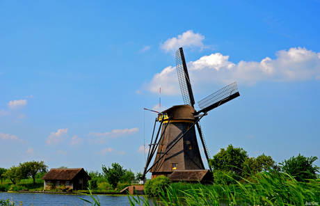 KINDERDIJK