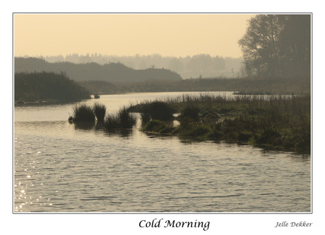 Cold Morning