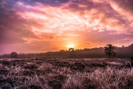 Kleurrijke natuur bij zonsopkomst