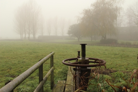 In de mist