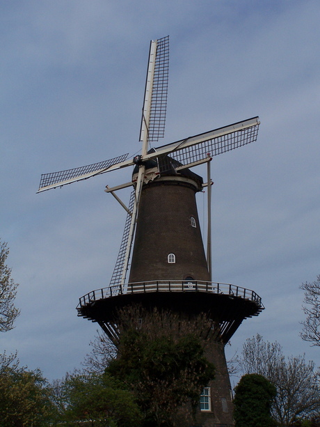 Molen