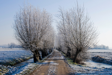 Winterweg