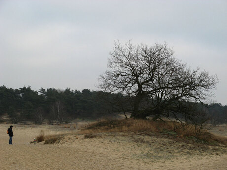 Desolaat landschap