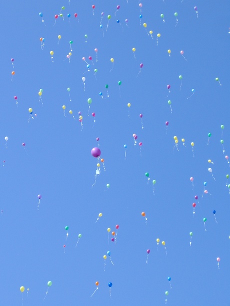 ballonnen wedstrijd