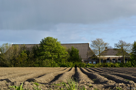 Natuurboerderij Lammerburen