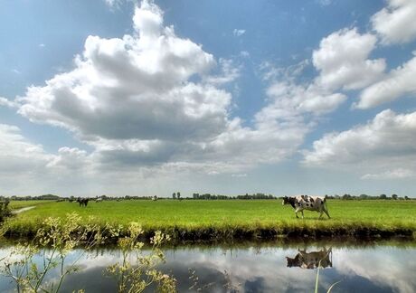 Hollands landschap