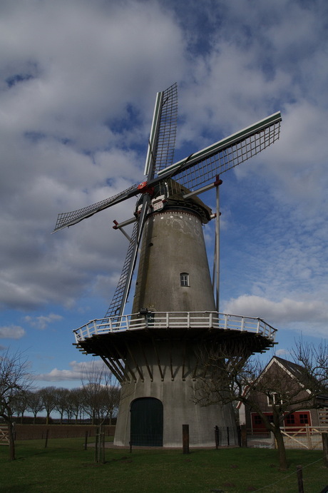 Molen Rijn en Weert