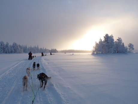 Looking out at the vastness of white