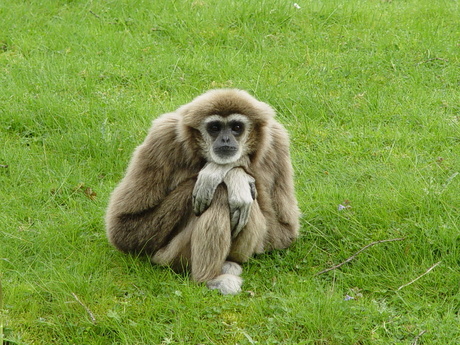 wie kijkt er naar wie