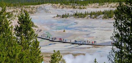 Geiser park yellowstone