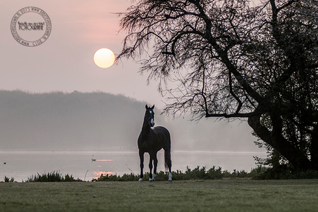 zonsopgang