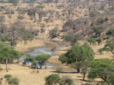 uitzicht in Tarangire