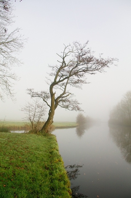 herfst/mist