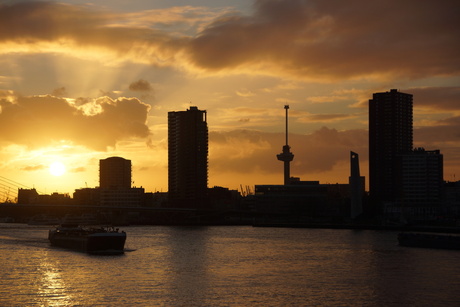 Rotterdam in goud