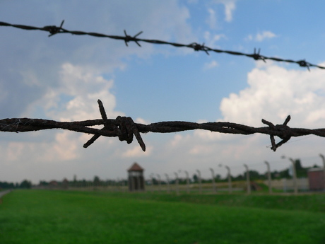 Concentratiekamp Auschwitz