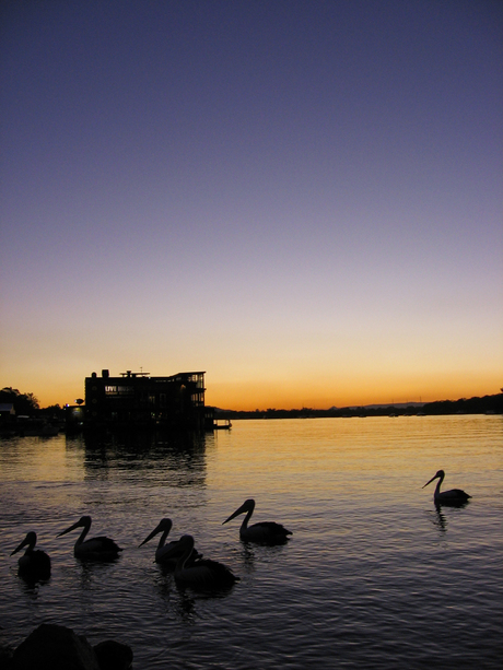 Twilight @ Pelican Beach