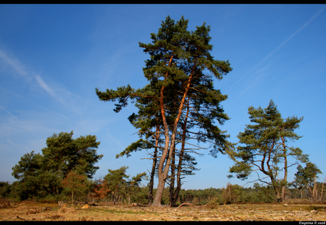 Landgoed tongeren 3