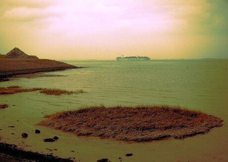 Westerschelde horizon zee