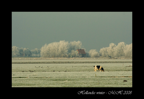 Hollandse Winter