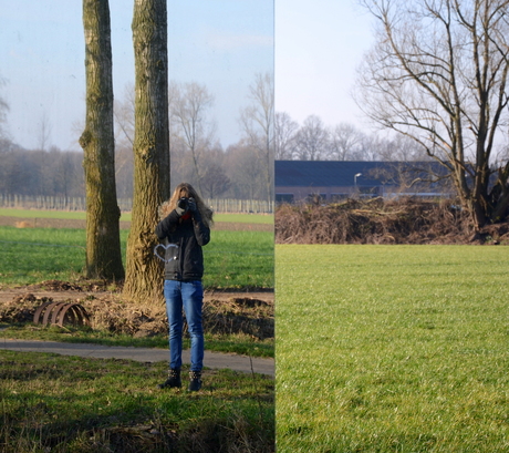 Mirror in a field