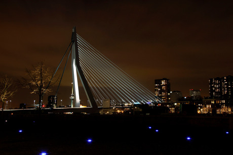 Erasmusbrug bij night