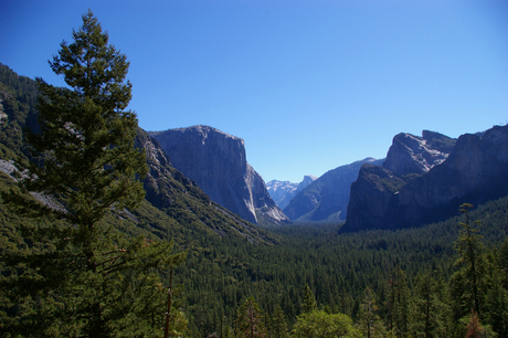 Yosemite National Park