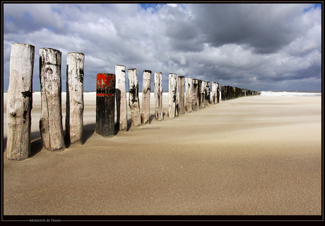 De Zeeuwse Kust