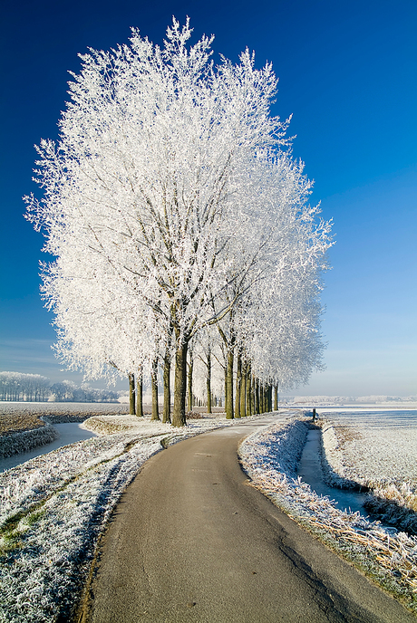 Winter in Oosterhout