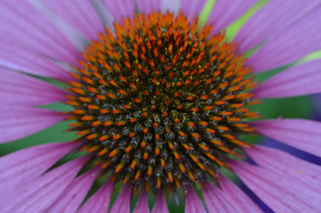 Floriade Venlo