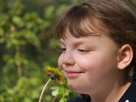 Lindy met Paardebloem 2