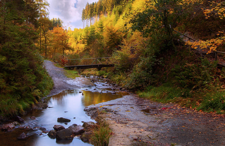 mis de Ardennen