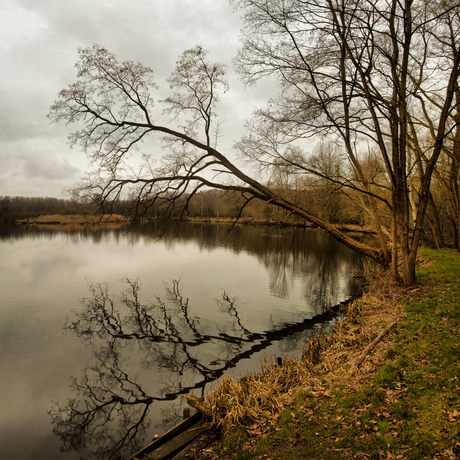 Natuurgebied De Maat