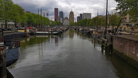 Haven in centrum Rotterdam.