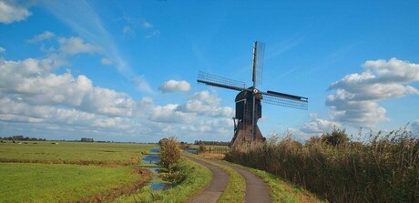 Hollandsche landschap