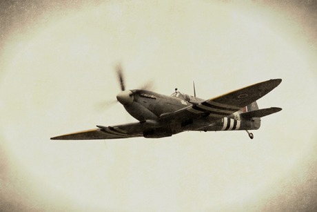 Spitfire