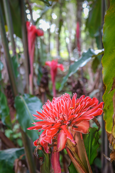 parque topes de collantes