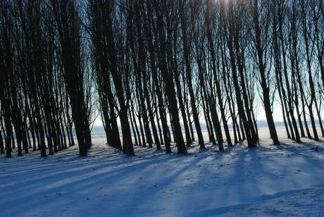 Winter 2013