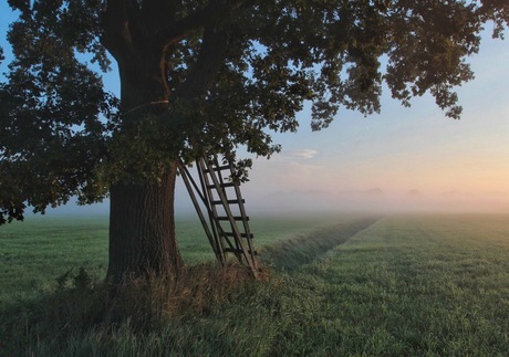 Ochtend