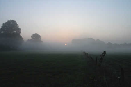 Ochtend zon