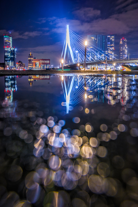 Rotterdam Puddlegram