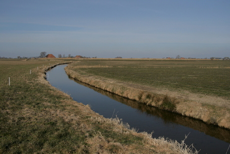 Het gras bij de buren is niet altijd groener...