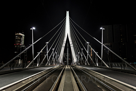 Erasmusbrug bij Nacht